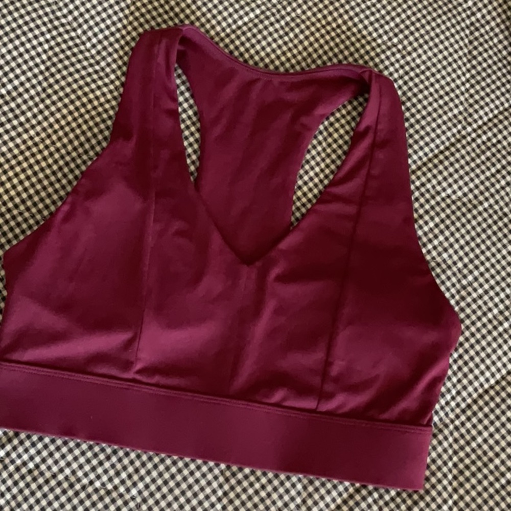 Fabletics Burgundy Sports Bra